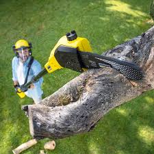 Best Tree and Shrub Care  in Tullytown, PA