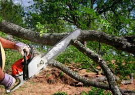 Best Hazardous Tree Removal  in Tullytown, PA