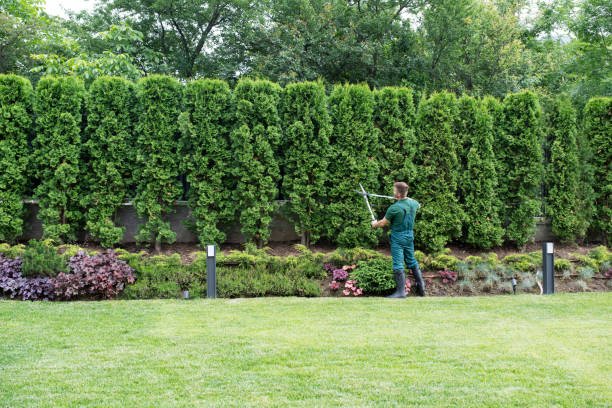 Best Tree Maintenance Programs  in Tullytown, PA